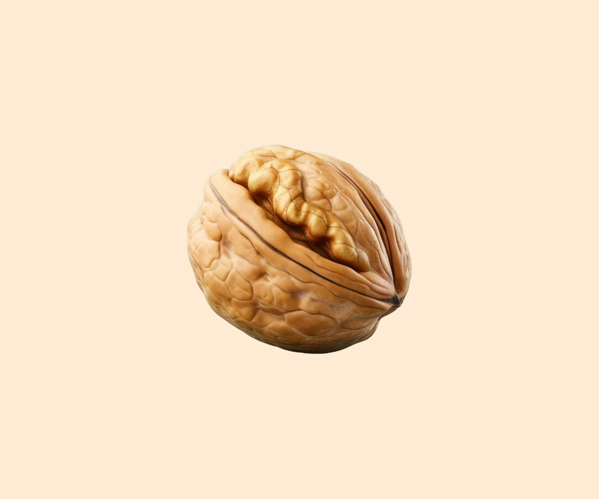 Shop Walnuts