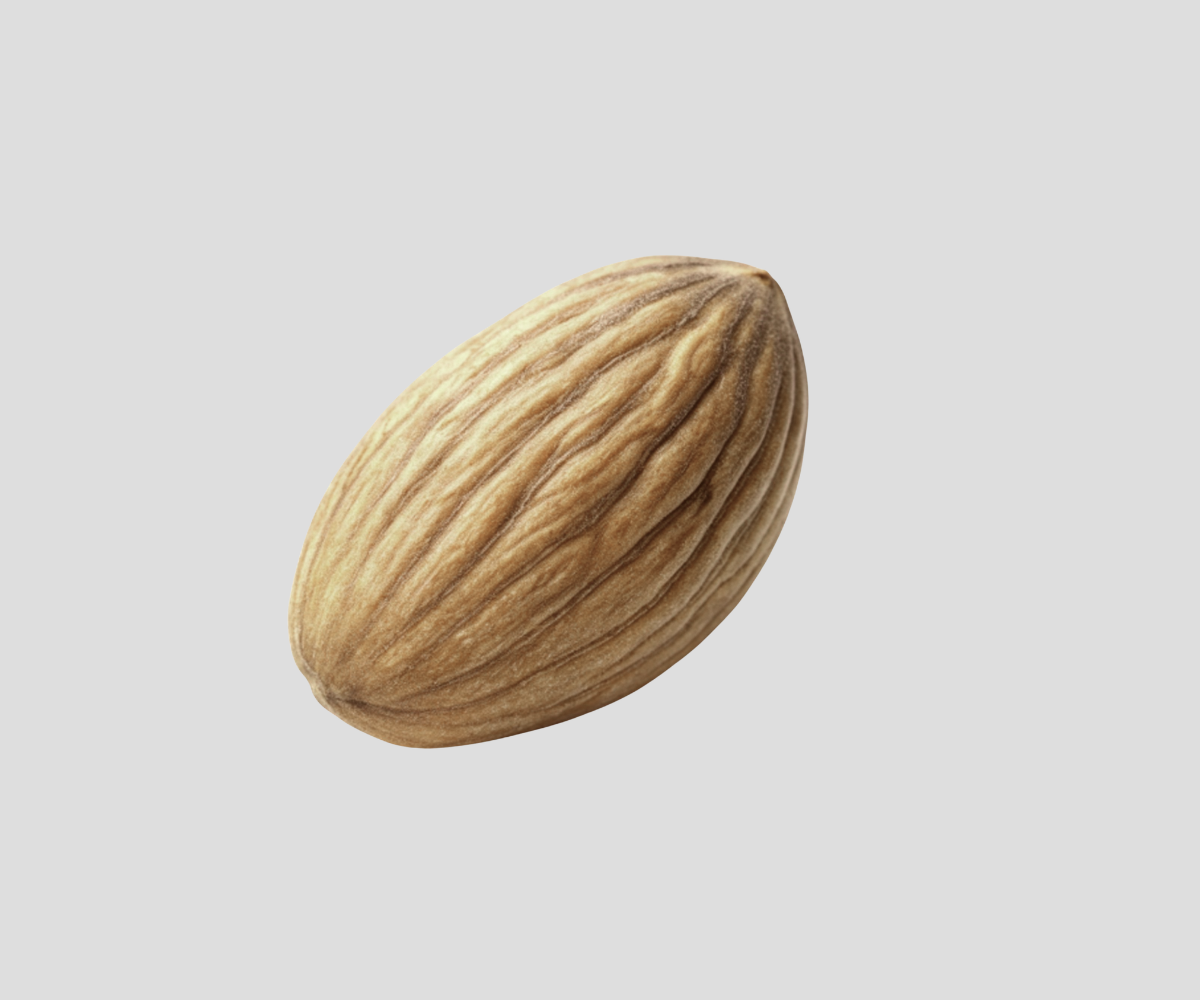 Shop Almonds